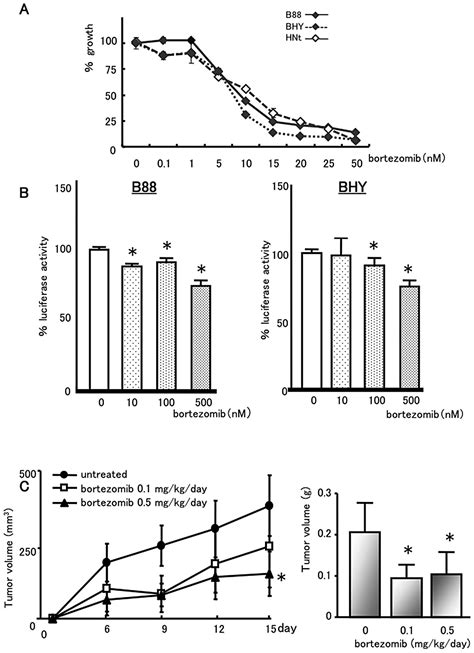 Bortezomib Enhanced Radiosensitization Through The Suppression Of