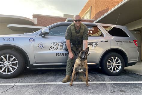 Inmate search bibb county data shows a rise in arrests 3