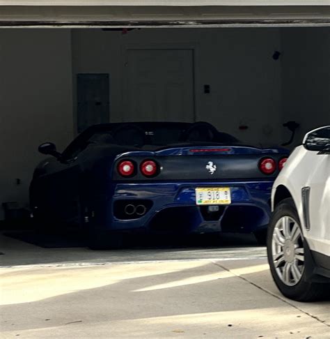 My neighbors [360 spider] : r/spotted