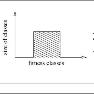 1 Examples Of Entropy Distributions From Low Entropy Where All