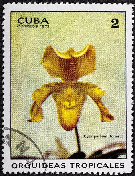 Cuba Circa A Stamp Printed In Shows Ciprypedium Doraeus Orchid