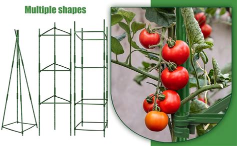 Amazon Hahood 6 Pack Tomato Cages Plant Support Cages Up To 48