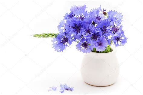 Cornflower bouquet — Stock Photo © miltonia #9657527