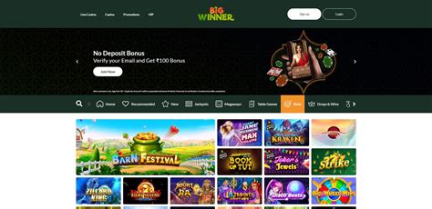 BigWinner Casino Review - Safe or Scam?