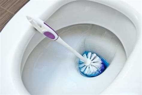 Plastic Toilet Bowl Cleaning Brush At Best Price In Mumbai Zodiac