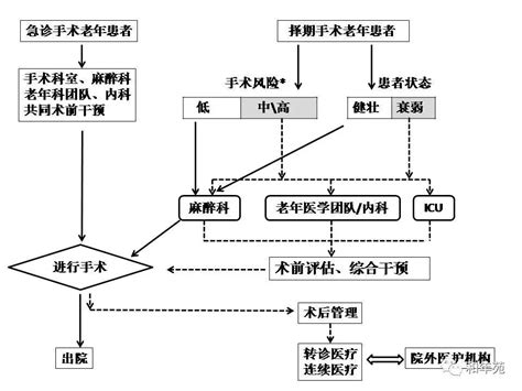 妇科泌尿网 指南共识 老年患者围手术期多学科管理协和共识