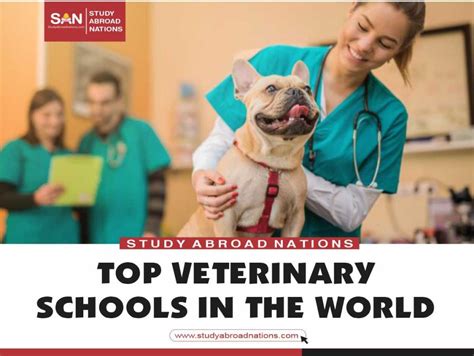 Las Mejores Escuelas De Veterinaria Del Mundo