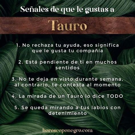 Descubre Lo Que Le Encanta A Un Tauro De Una Mujer