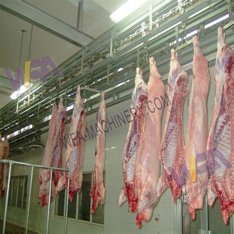 Abattoir Equipment Pig Carcass Dressing Double Track Slaughter Line