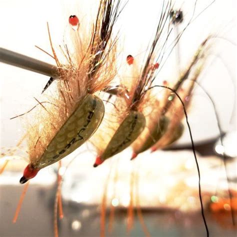 Sight Cast Fishing — Saltwater Fly Fishing - Flies, Tying Materials ...