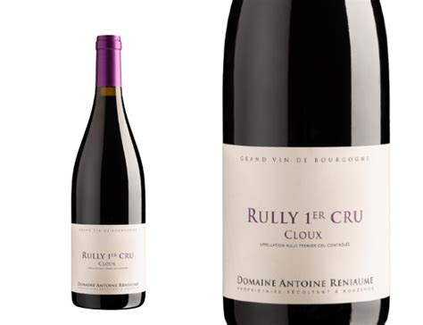 Antoine Reniaume Rully 1er Cru Cloux Rouge 2021 Wineandco