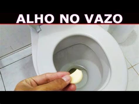 COLOQUE 1 ALHO no VASO SANITÁRIO Antes de Dormir e Pela Manhã VOCÊ VAI