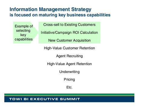 Information Management Strategy From Business And It Viewpoints