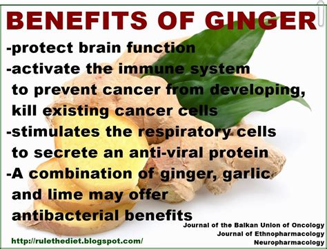 weight loss   healthy lifestyle benefits  ginger root