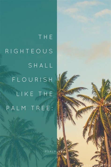 The Righteous Shall Flourish Like Palm Trees Psalm Catholic