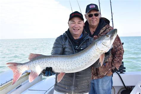 Guided Fishing on Lake St. Clair | Northern Ontario Travel