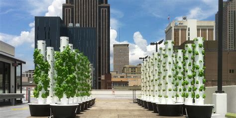 Why Rooftop Farming Is The Best Solution For Smart Urban Agriculture