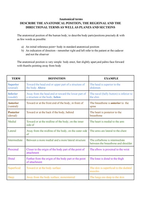 Exam 1 Notes For Anp1106 2022 Carnegie Anatomical Terms Describe