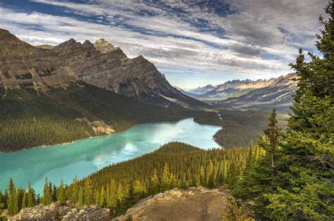 National Trees Banff Canada Mountains 1080P Peyto Forest Park