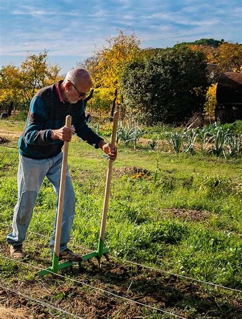 Vasco Della Giovampaola Il Babbo Del Bosco Di Ogigia