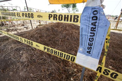 Exhumar N M S De Cuerpos De Fosas De Tetelcingo Proceso