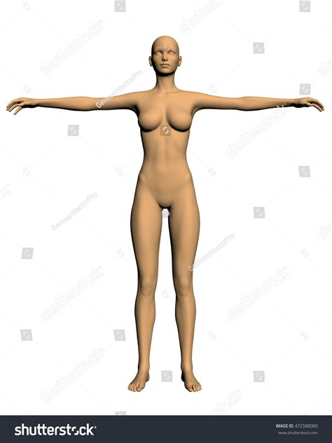 Realistic Naked Girl Pose Arms Raised Stock Vector Royalty Free 472588000 Shutterstock