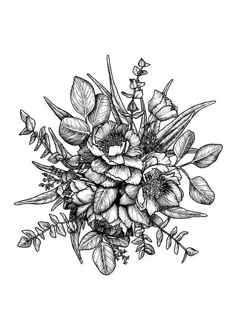 Alesha Krehbiel - Botanical Pen Drawings