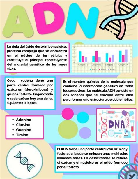 Infograf A Adn Fernanda Horna Garcia Udocz