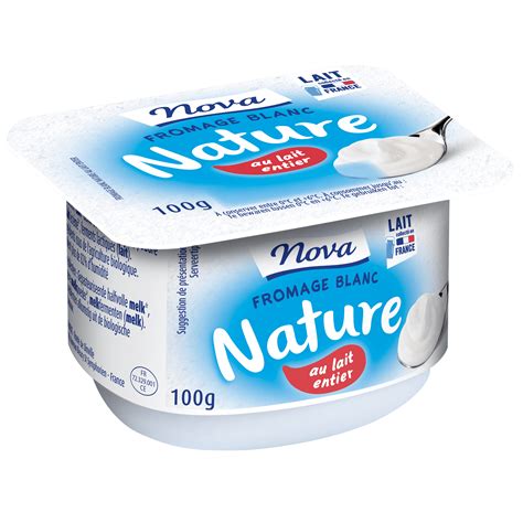 FROMAGE BLANC NATURE AU LAIT ENTIER 100g Andros FoodService