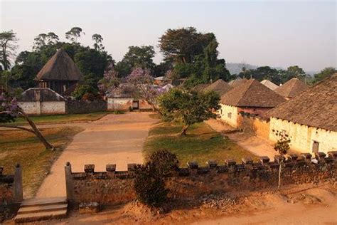 Dja Faunal Reserve, a World Heritage Site Cameroon - family holiday.net ...