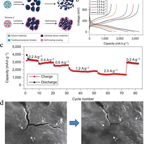 A Design And Structure Of The Self‐healing Electrode Scheme 1 A