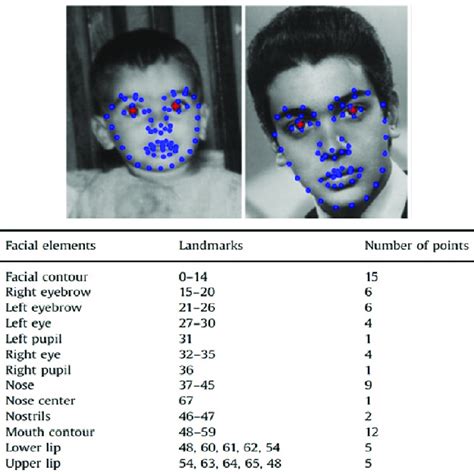 68 Facial Landmark Points Download Scientific Diagram