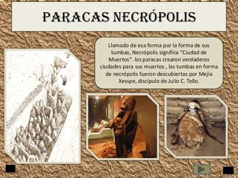 Cultura Paracas Historia Del Perú — Wikisabio