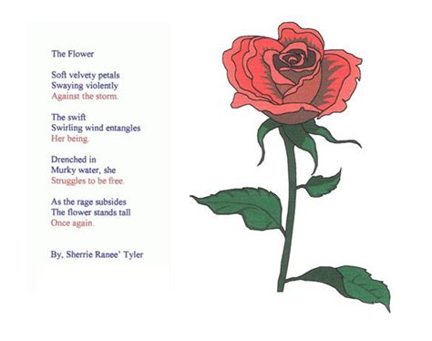 The Flower Poem Flower Poem Flower Soft Poems