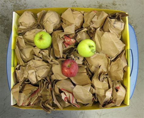 How To Store Apples For Winter Brown Eyed Rose