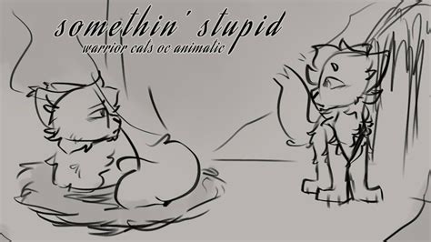 Somethin Stupid Warrior Cats Oc Animatic Youtube