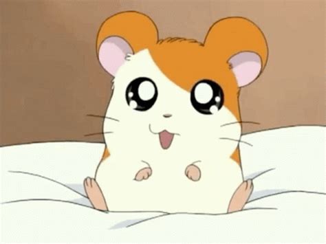 Hamtaro Cute Hamtaro Cute Anime Discover Share GIFs