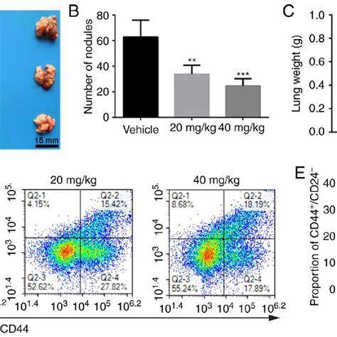 Emodin Suppresses Pulmonary Metastasis Of Ovarian Cancer By Affecting