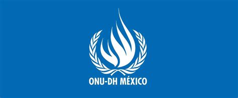 Alto Comisionado De Las Naciones Unidas Para Los Derechos Humanos Onu