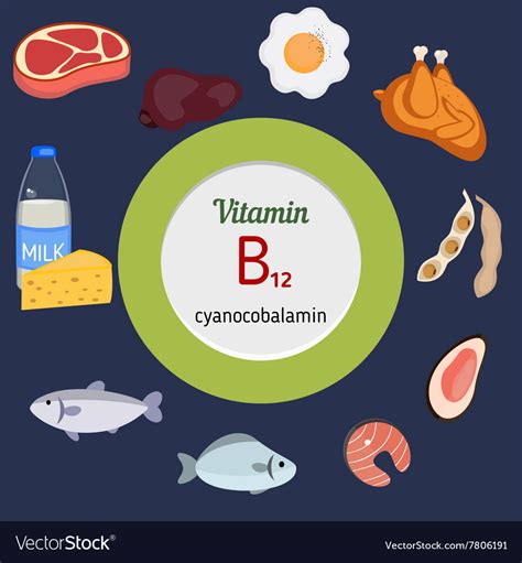 Vitamin B12 Or Cobalamin Infographic Royalty Free Vector