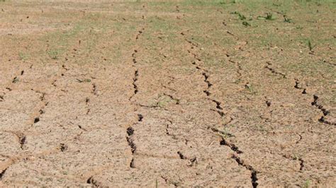 Como Evitar La Erosi N Del Suelo En La Agricultura