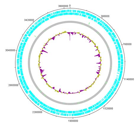 Tutorial: Nanopore Analysis Pipeline | The Bowman Lab