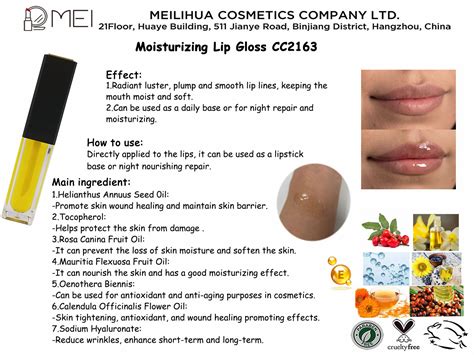 Moisturizing Lip Gloss - MEIcosmetics