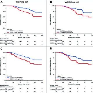 Subgroup Analysis To Assess Prognostic Value Of CXC Chemokine Receptor