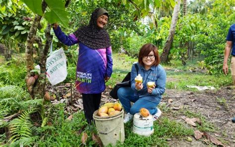 Pengeluaran Koko Dijangka Meningkat Tahun Depan Fadillah Edisi