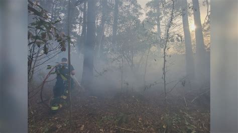 Crews Put Out Fast Moving Leland Woods Fire Wwaytv3