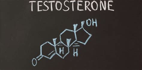 The Hormones That Affect Your Sex Drive Genemedics