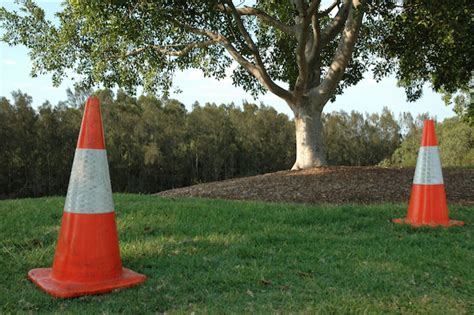 Setting Up Your Backyard Safety Zone | Backyard safety, Backyard, Fun