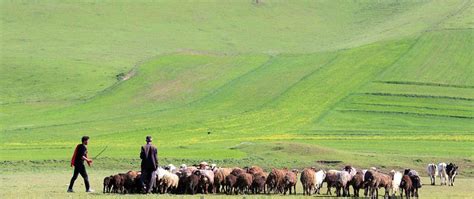 Springtime In Mugan Plain, The Lost Paradise Of Ardabil, Iran – SURFIRAN 
