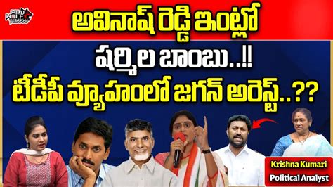 Ys Sharmila Big Shock To Cm Jagan Ysrcp Ys Avinash Reddy Ap